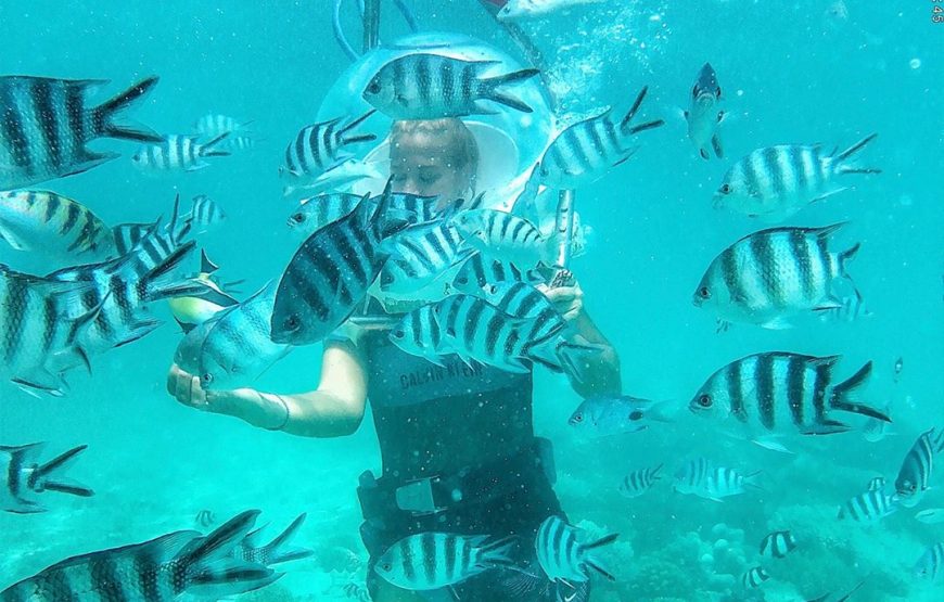 Underwater Sea Walk