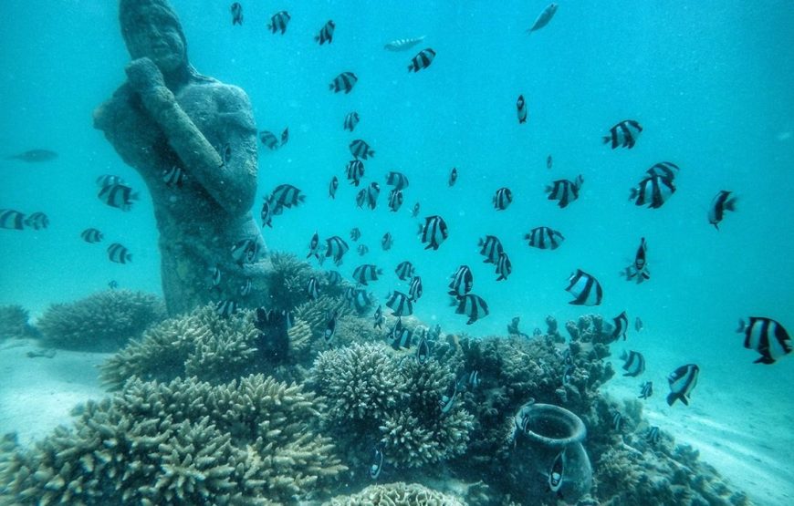 Underwater Sea Walk